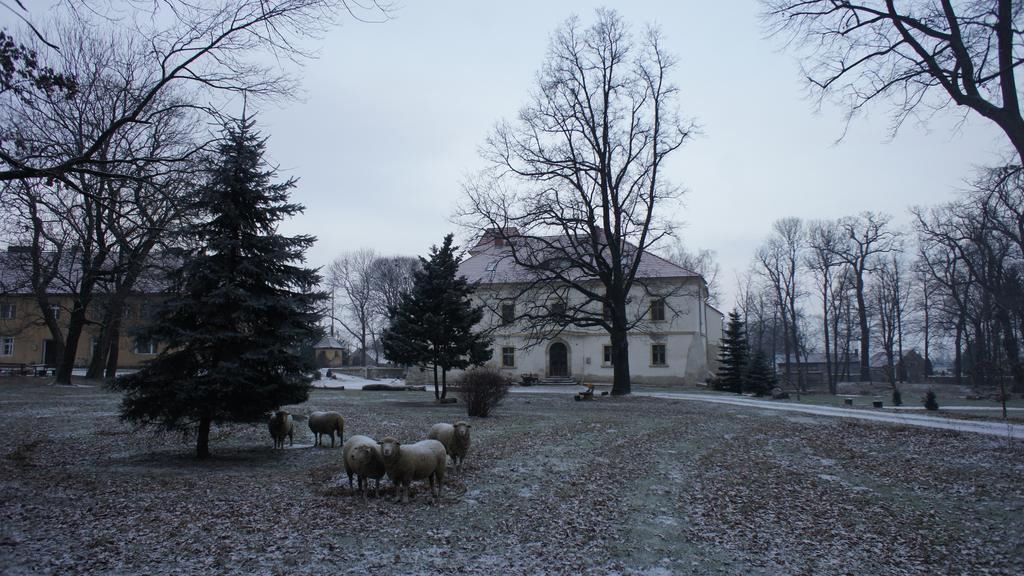 Piotrowice Nyskie * Otmuchów